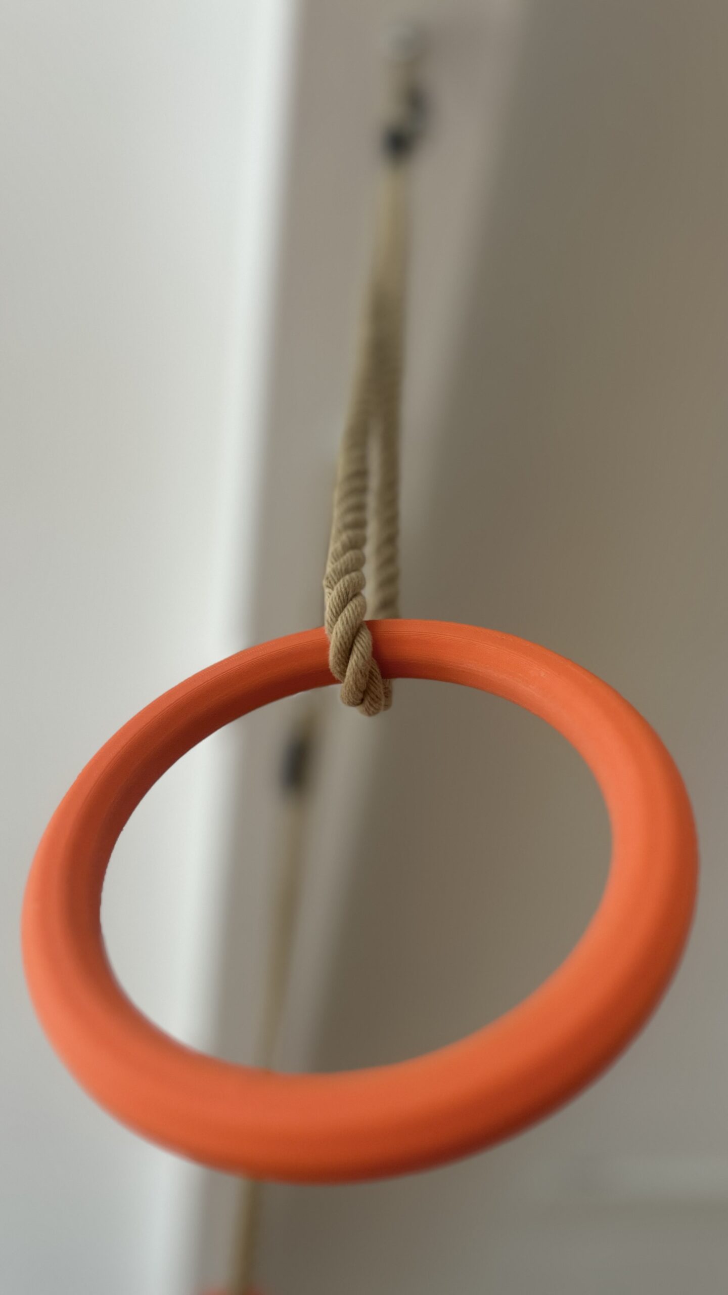 Turnringe